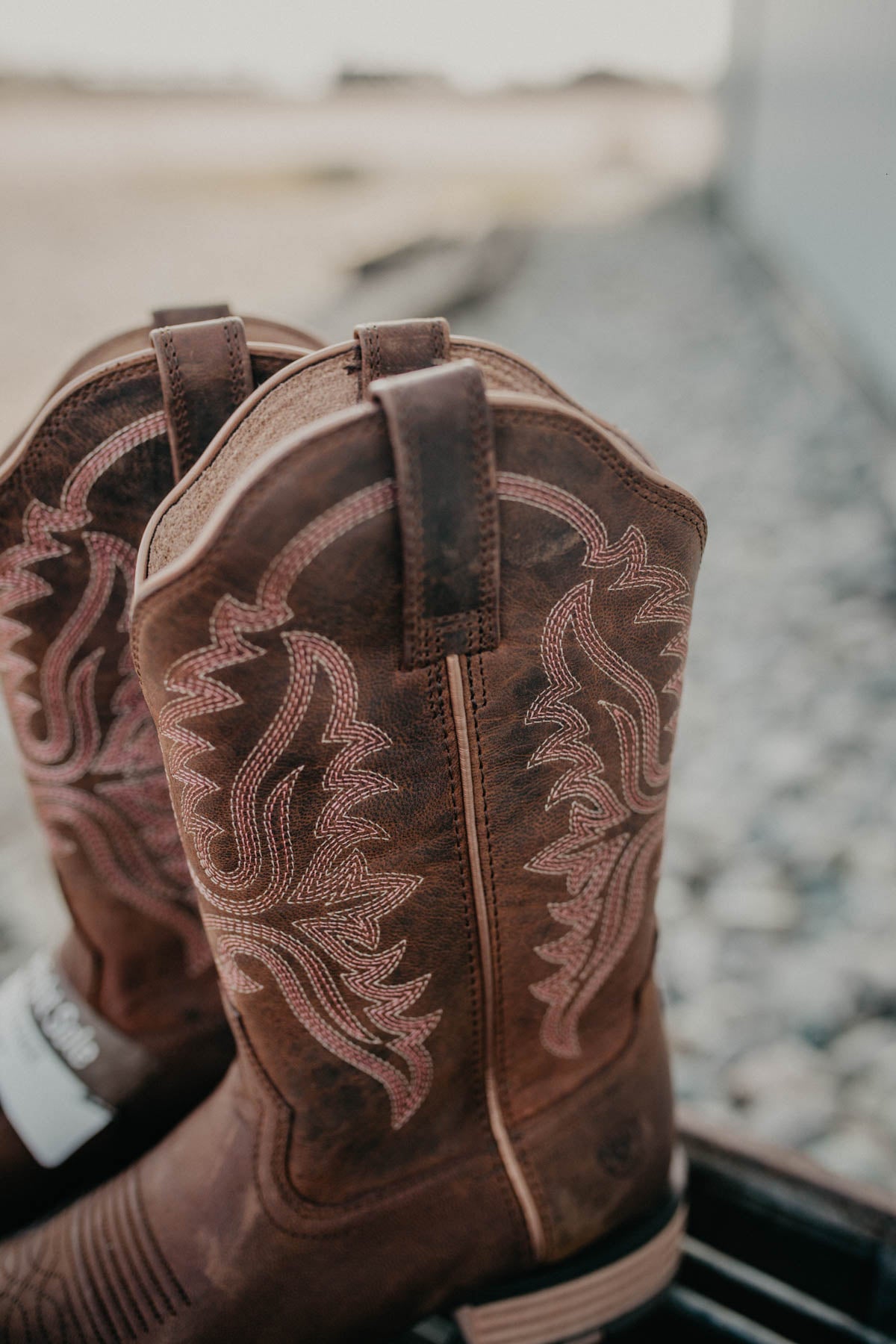 Olena Women s Western Boot Sassy Brown Cold Cactus Inc