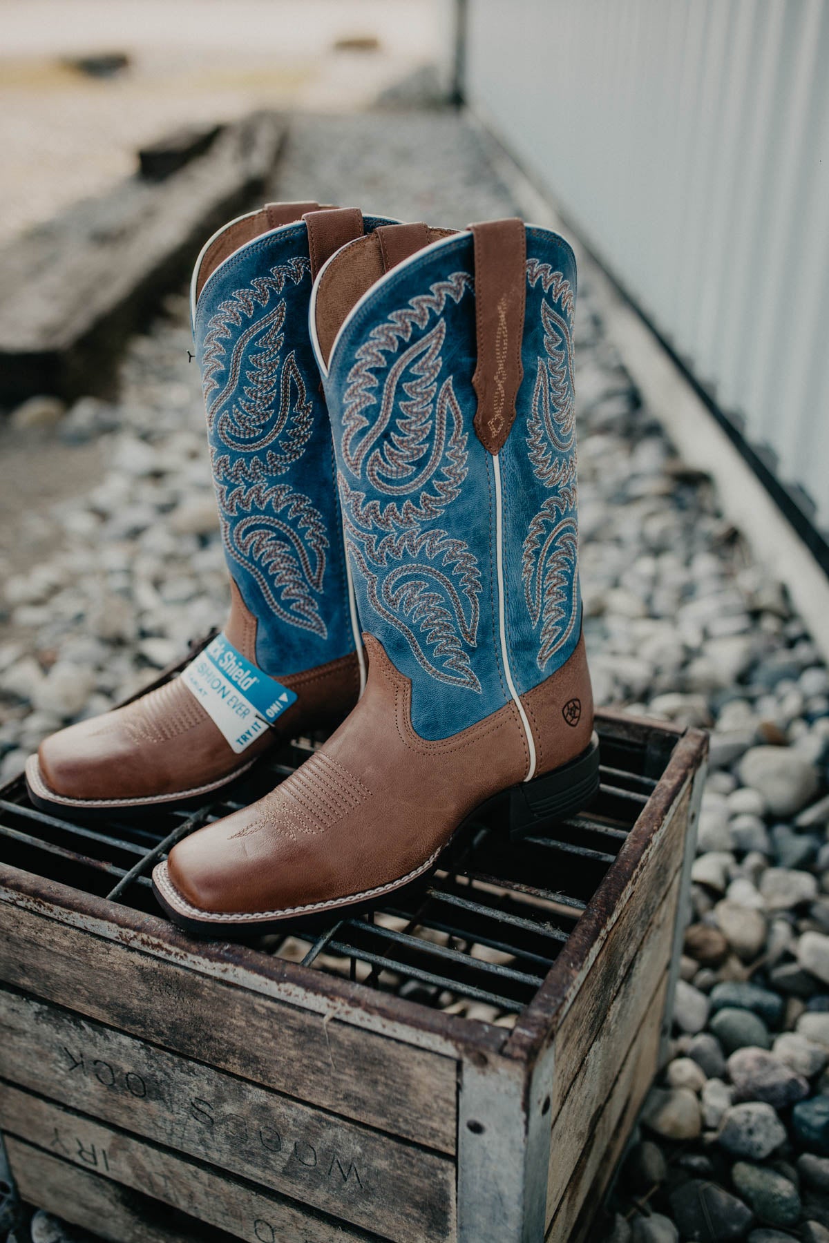 'Cattle Caite' Women's Ariat Stretch-fit Western Boot {Roasted Peanut | Regatta Blue}