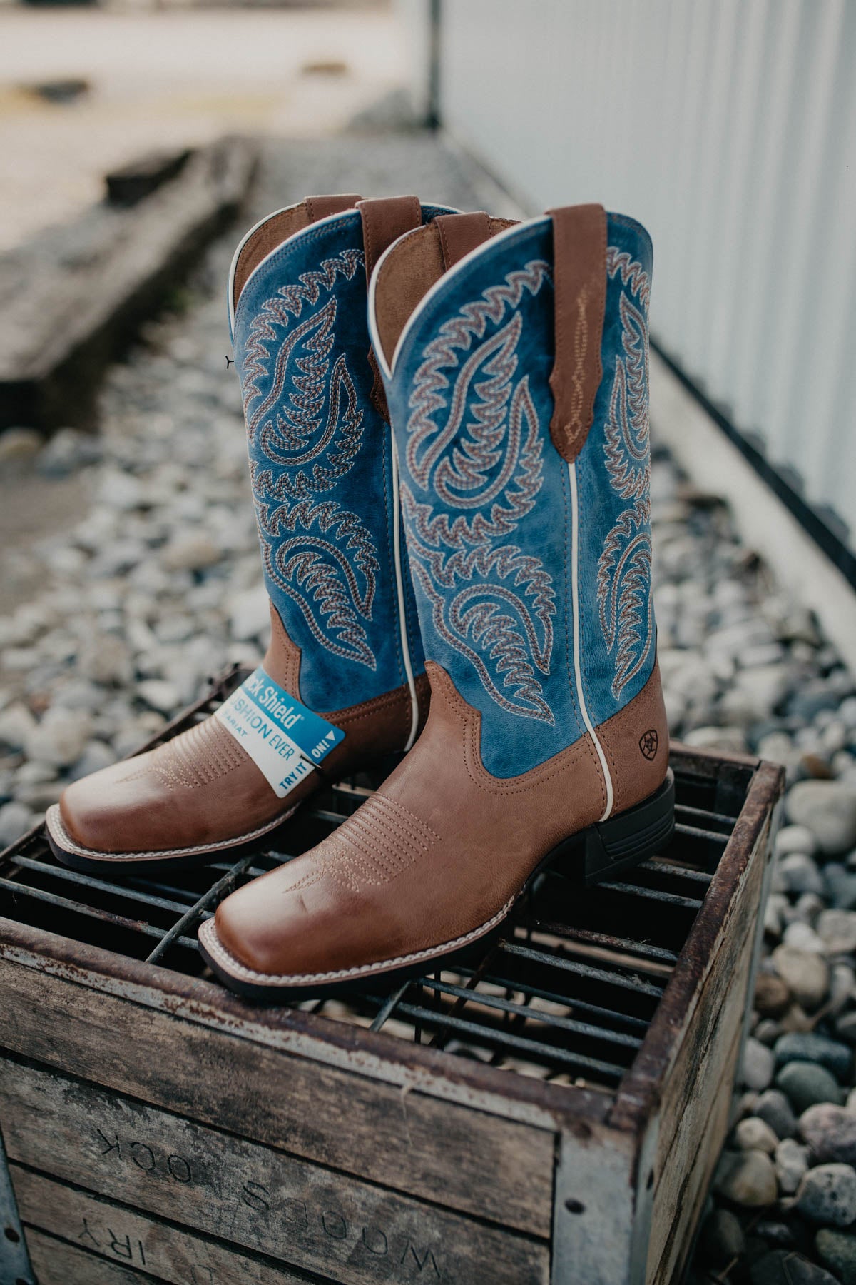 'Cattle Caite' Women's Ariat Stretch-fit Western Boot {Roasted Peanut | Regatta Blue}