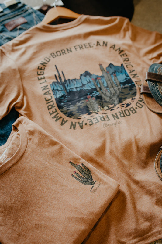 'Owens Valley' Men's Wrangler Tee (S-XXL)