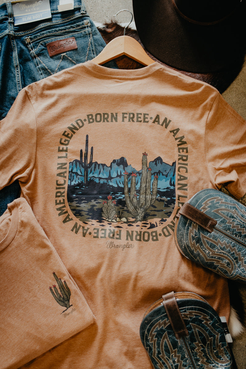 'Owens Valley' Men's Wrangler Tee (S-XXL)