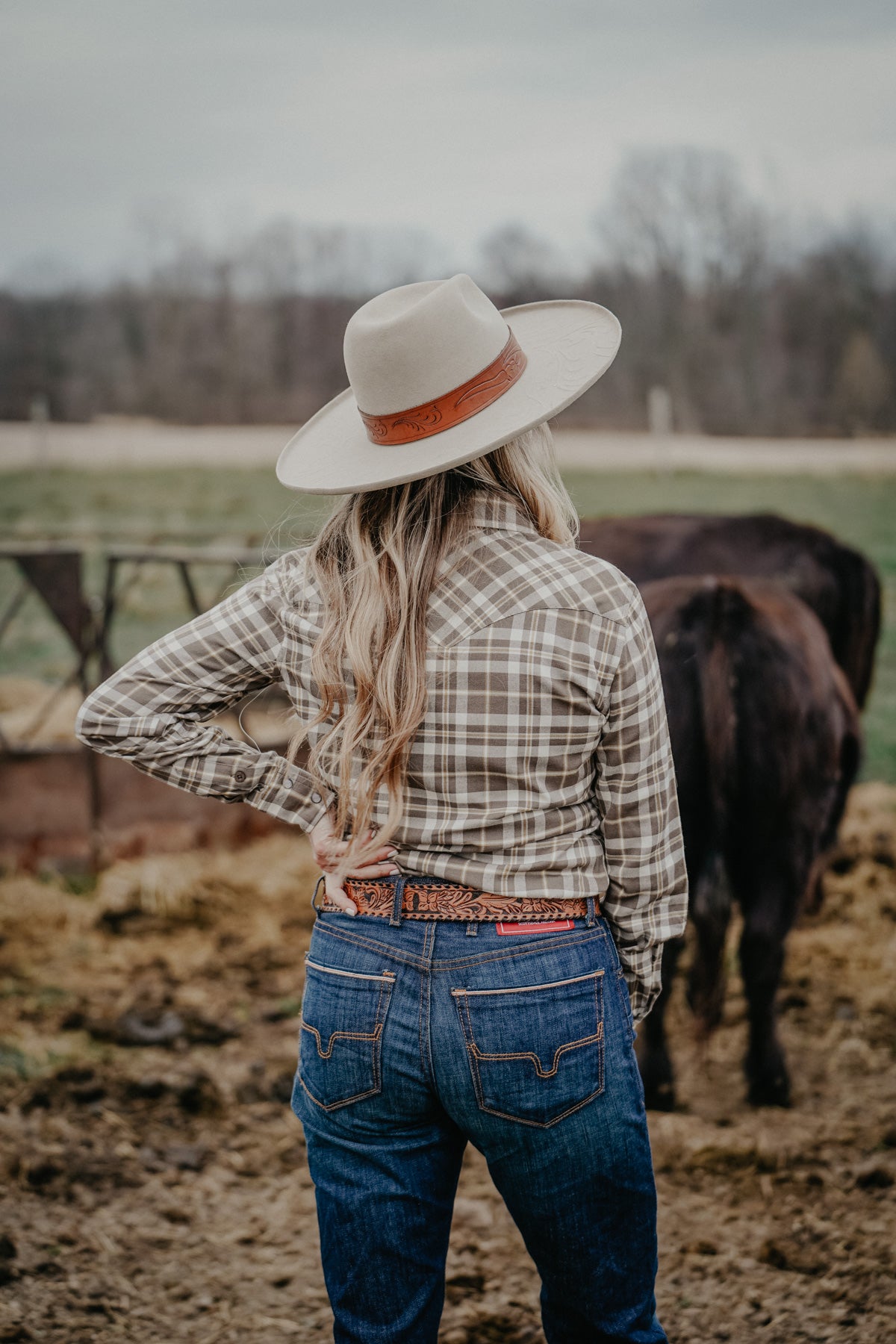 'San Mateo' Plaid Cotton Flannel by Kimes Ranch (1 L Blue Only)