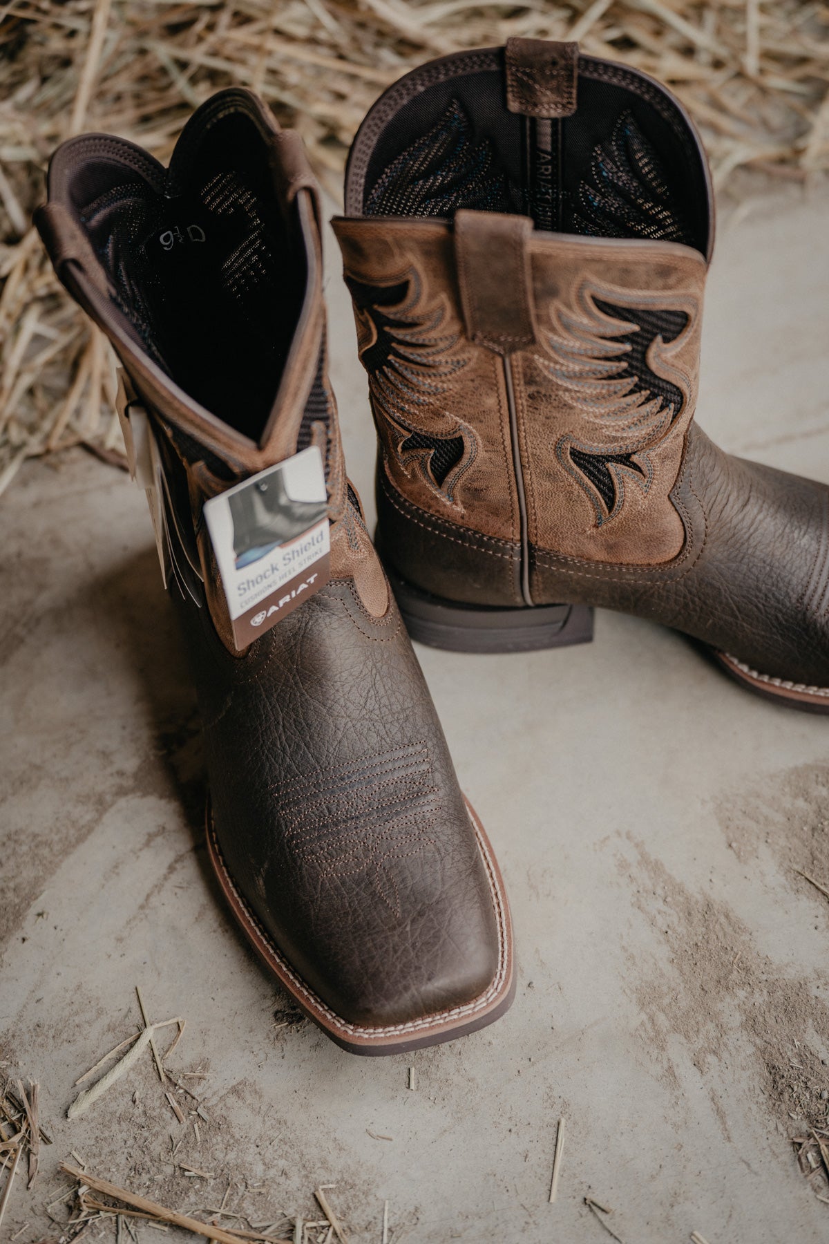 Ariat men's outlet venttek