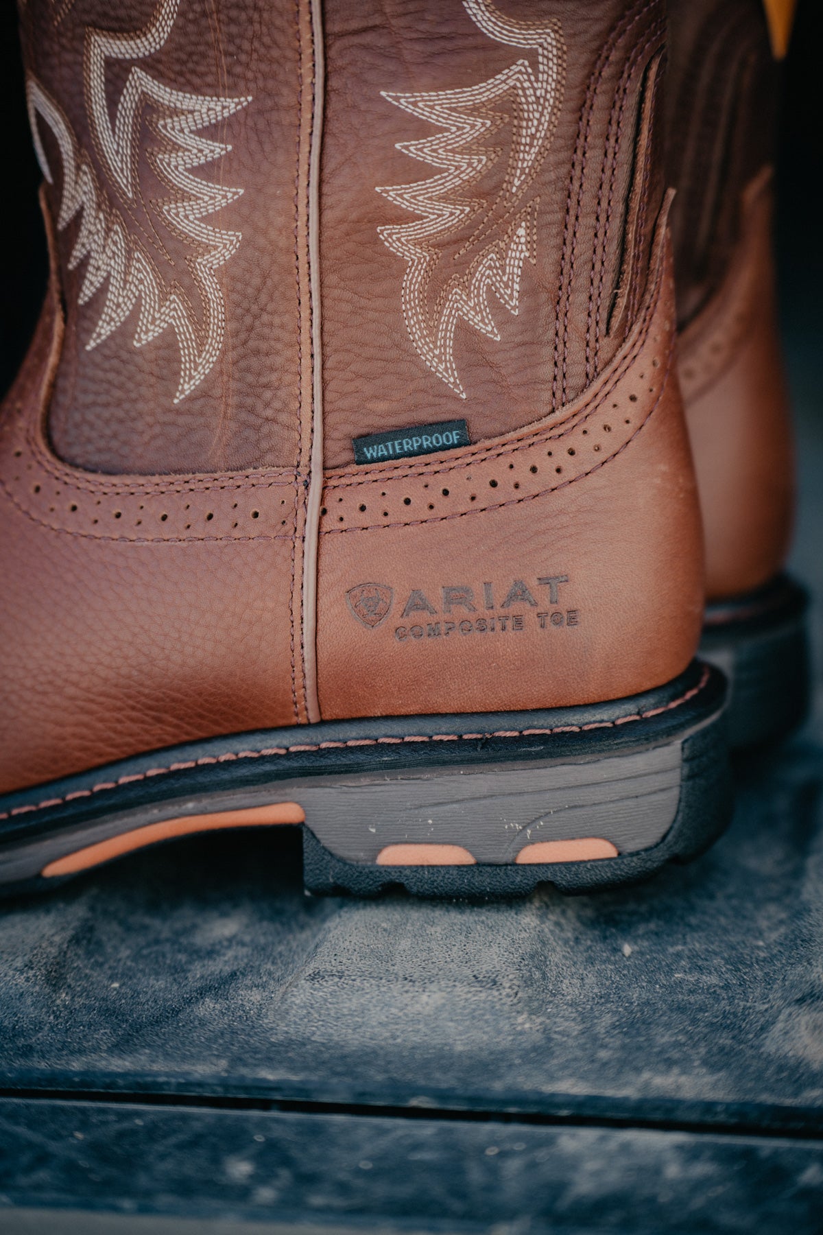 Ariat workhog store csa