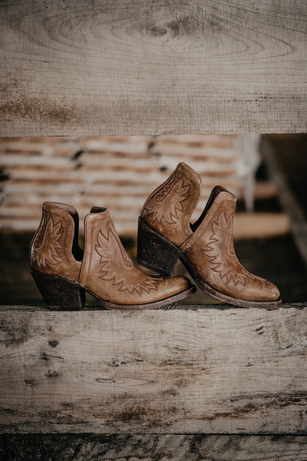 Ariat Dixon Ankle Bootie - Distressed Brown (R Toe)