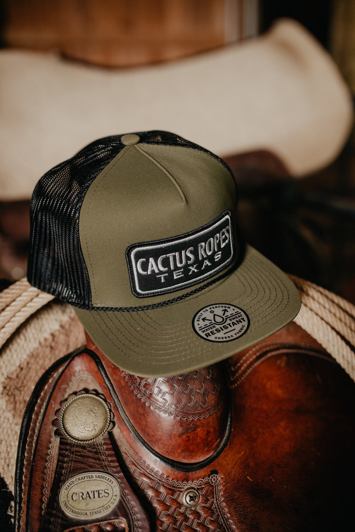 Hooey 'Cactus Ropes' 5 -Panel Olive and Black Trucker Hat