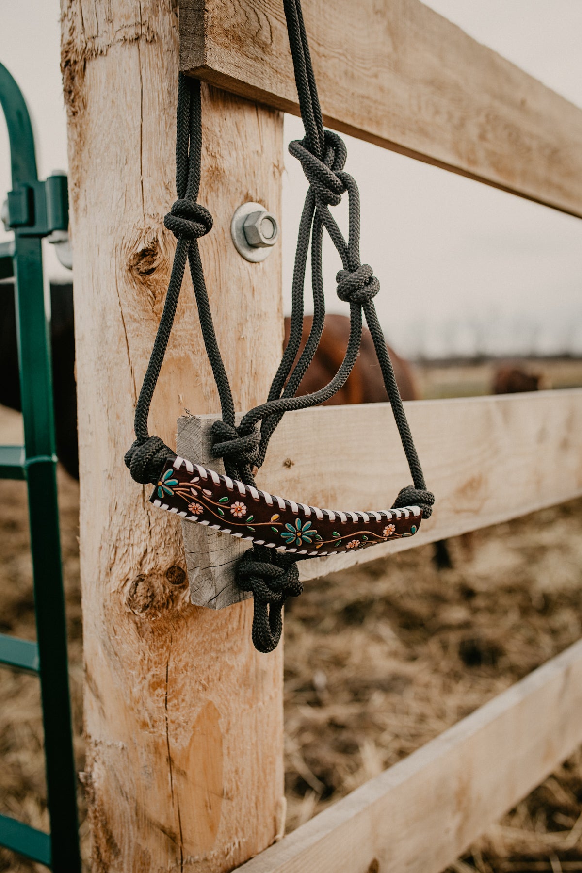 Rope Halter with Handtooled Leather Nose Band (Multiple Designs)