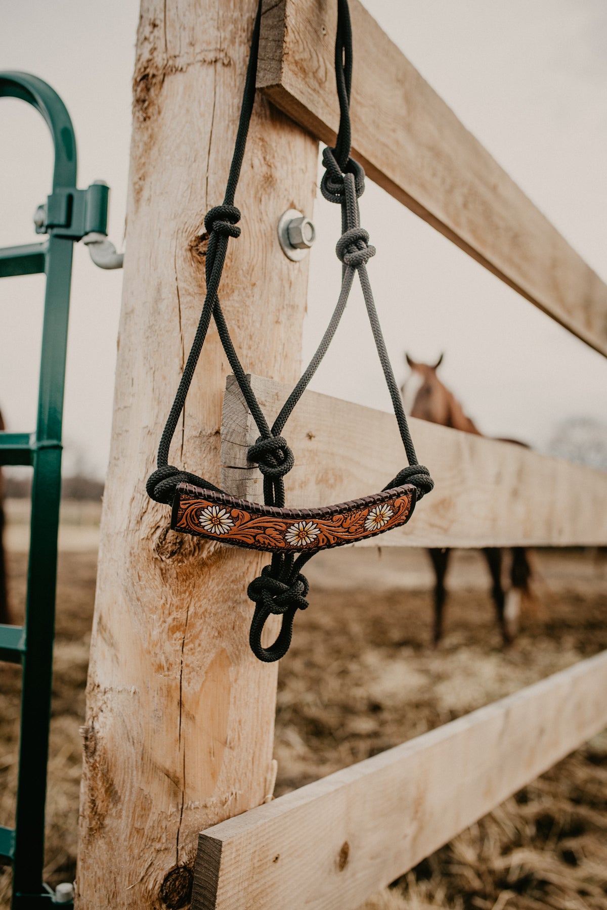 Rope Halter with Handtooled Leather Nose Band (Multiple Designs)