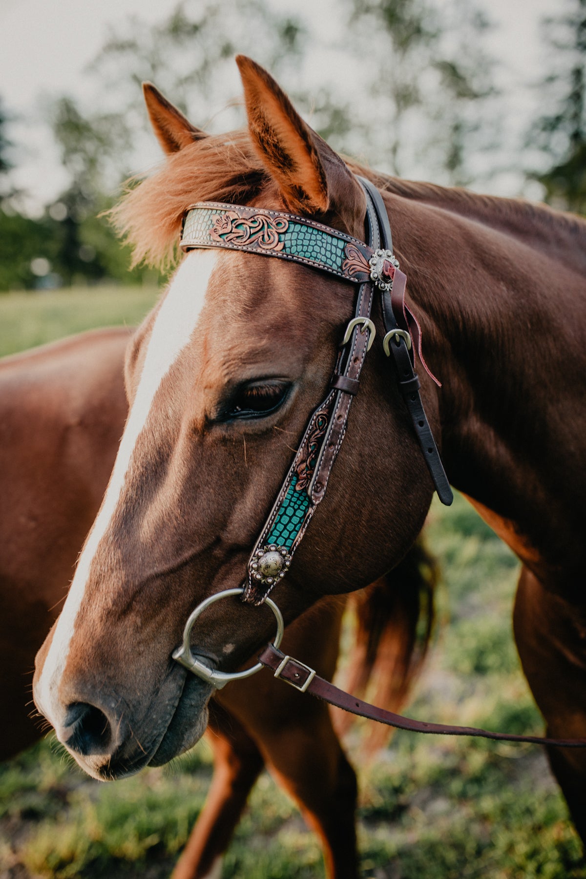 Turquoise Faux Gator and Floral Leather Tooled Browband Headstall