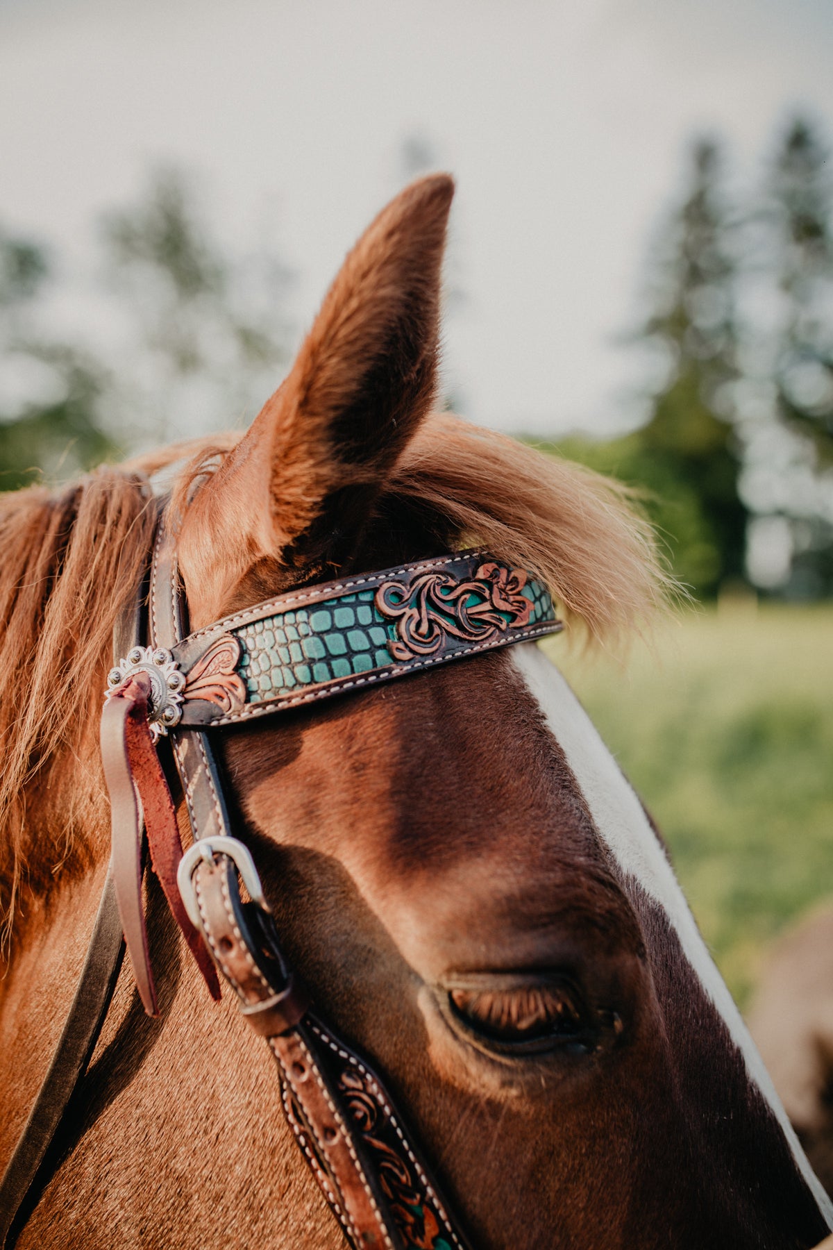 Turquoise Faux Gator and Floral Leather Tooled Browband Headstall